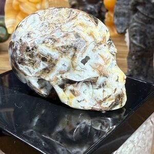 Mexican Lace Druzy Skull – Rare